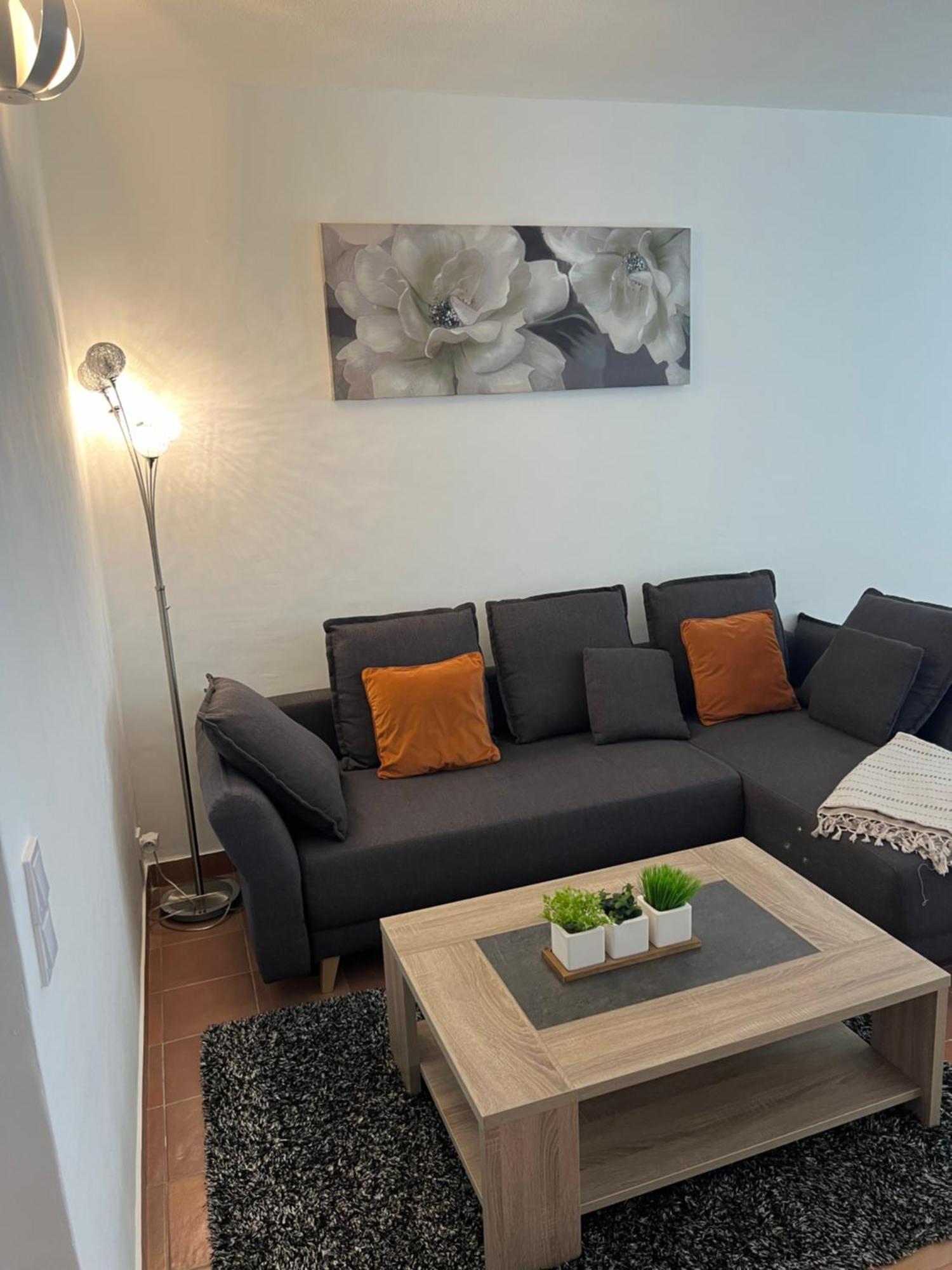 Magnifique Appartement Proche Des Plages Plus Garage Prive Антіб Екстер'єр фото